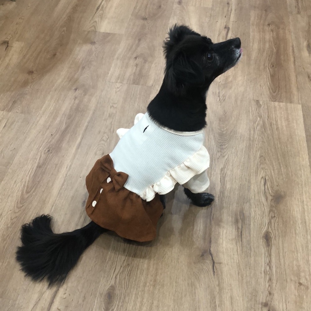 Dog outfit